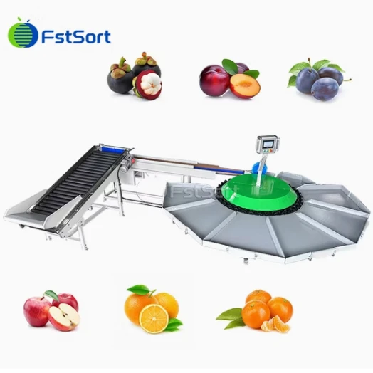 Citrus kružni stroj za sortiranje težine