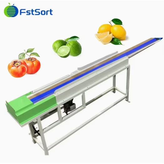 Citrus Circular Weight Sorting Machine best